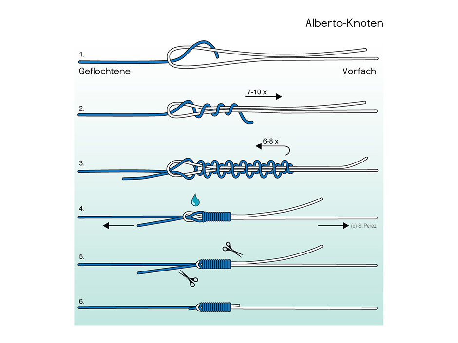 Alberto-Knoten