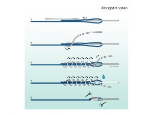 Angelknoten: Der Albright-Knoten Albright-Knoten