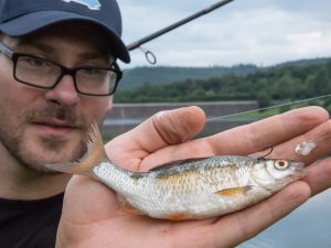 Angeln mit Köderfisch: Das musst Du wissen! Angeln-mit-totem-Koederfisch