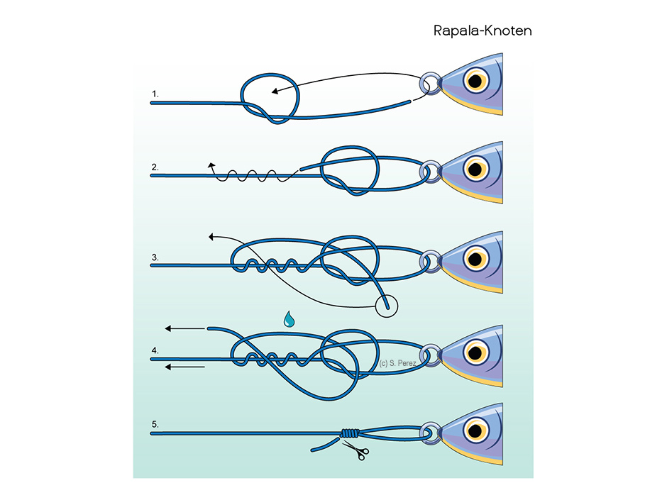 Rapala-Knoten