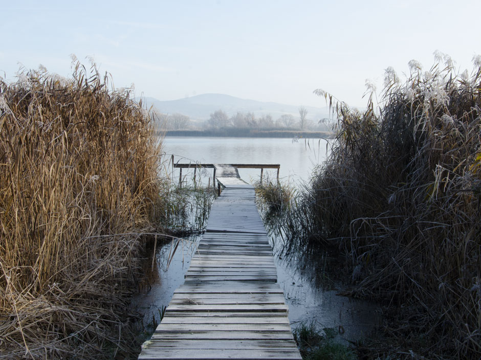 Angeln-im-Winter