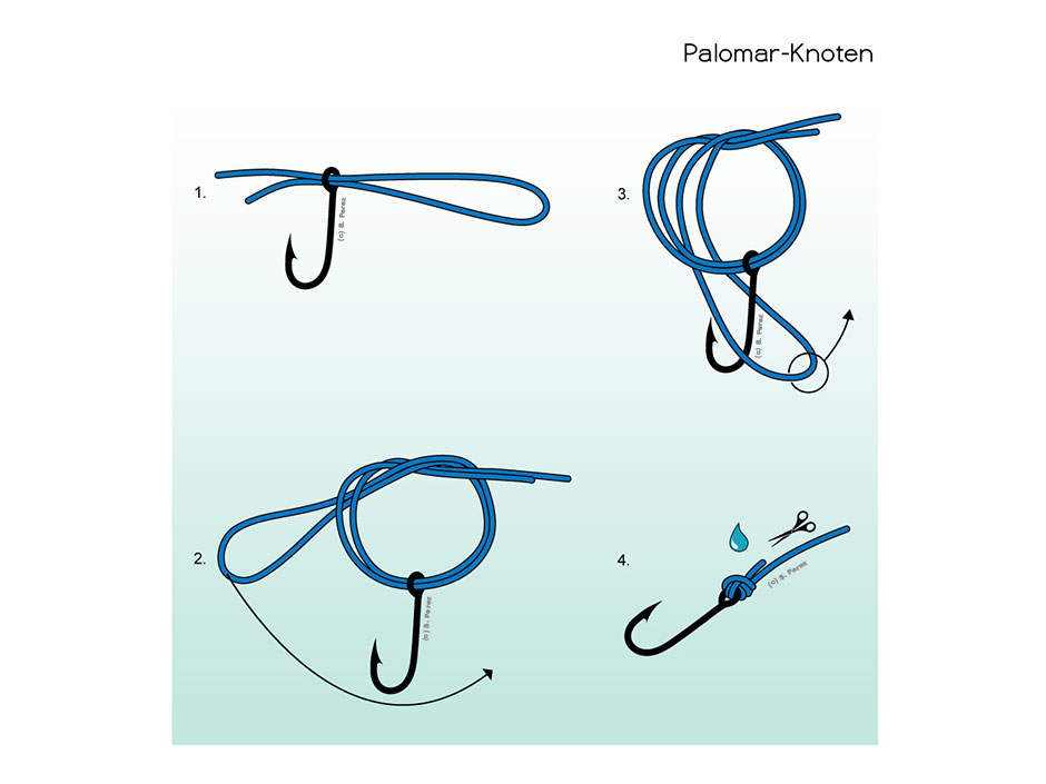Palomar-Knoten-Binden