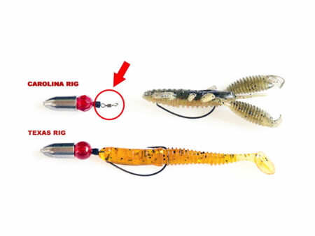 Unterschiede Texas Rig & Carolina Rig Texas-Rig-Carolina-Rig-Unterscheide