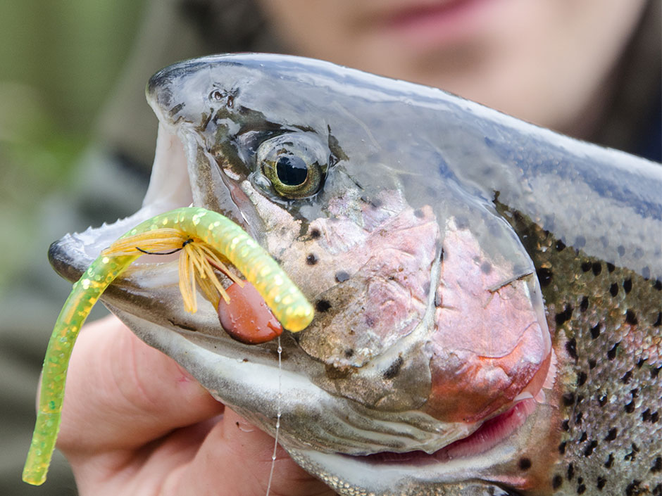 Wacky Rig Montage: Retter am Forellensee Wacky-Rig-Anleitung