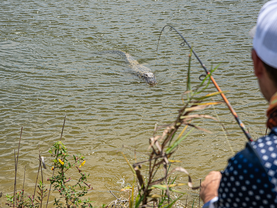 Angeln-in-Florida-Peacock-Bass