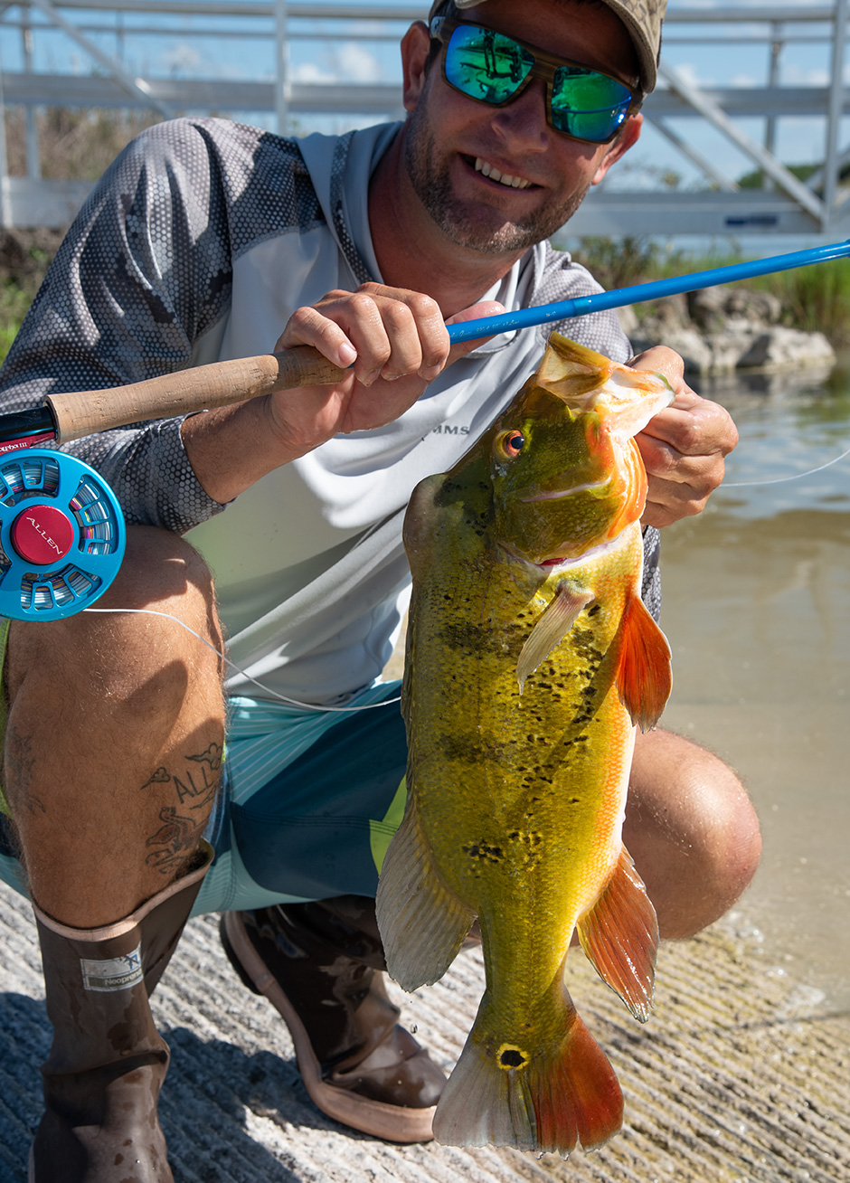 Peacock-Bass-Angeln-Florida-Everglades