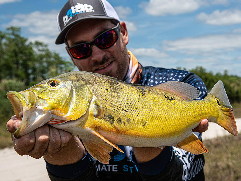 peacock-bass-angeln florida usa
