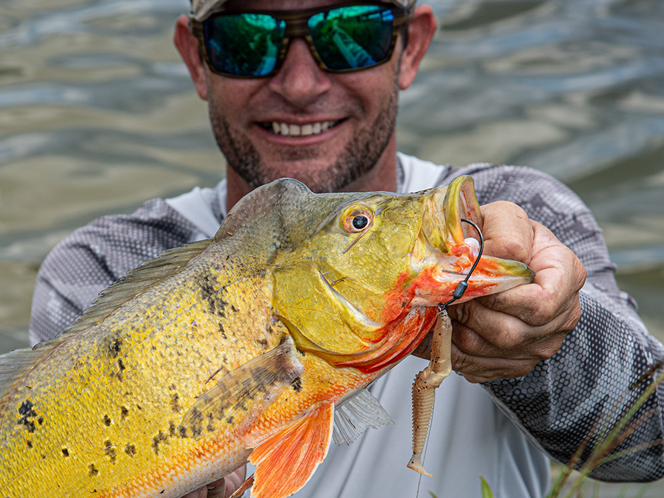peacock-bass-angeln-florida