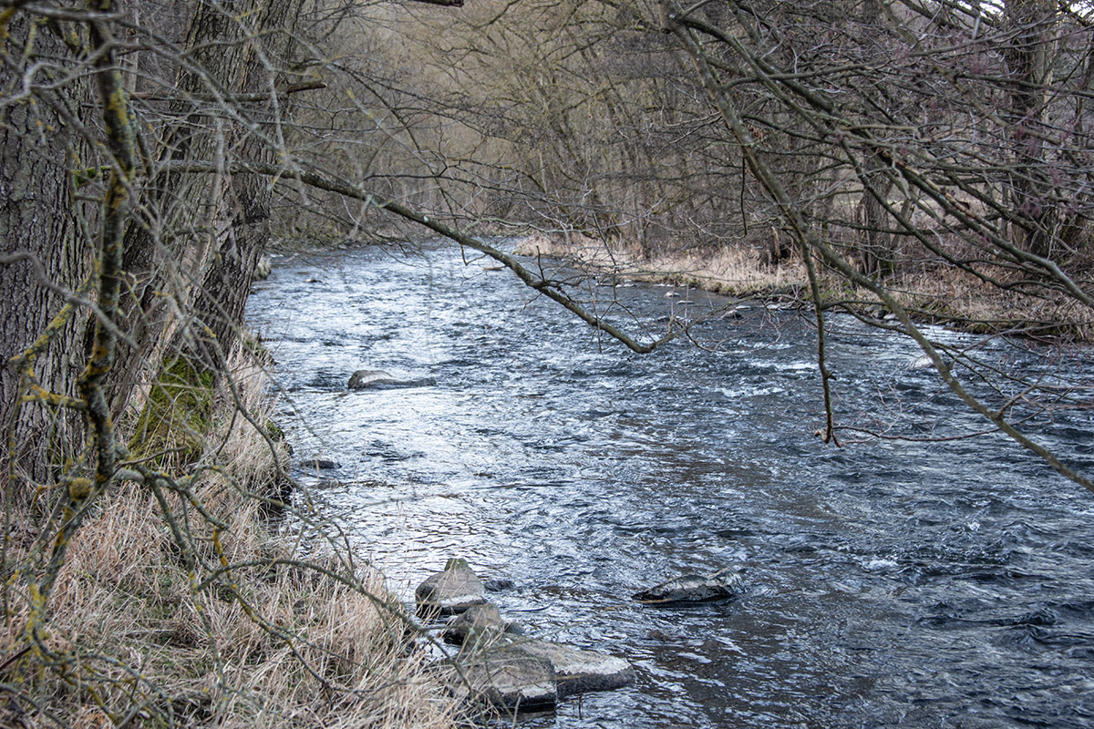 Grayls-Test-Fluss-Wanderung