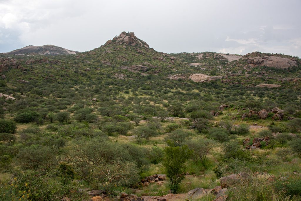 Wechselhafte-Landschaft-in-Afrika